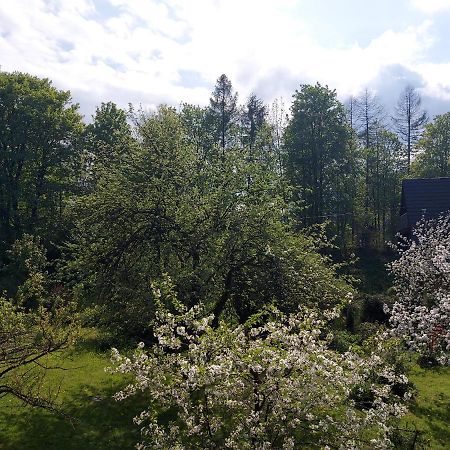 Apartament Bolek I Apartament Lolek 扎科帕内 外观 照片