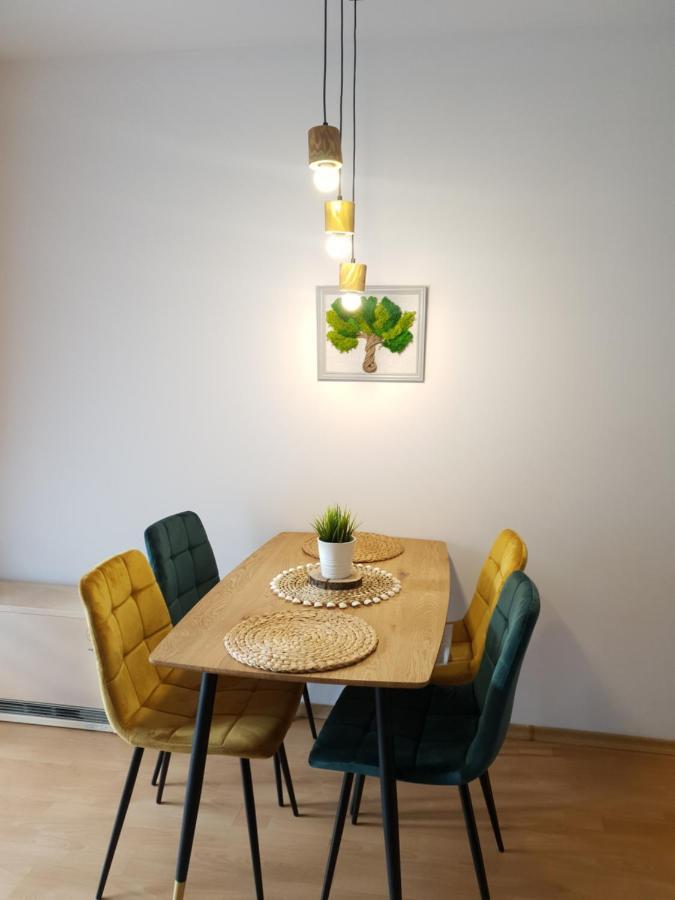 Apartament Bolek I Apartament Lolek 扎科帕内 外观 照片
