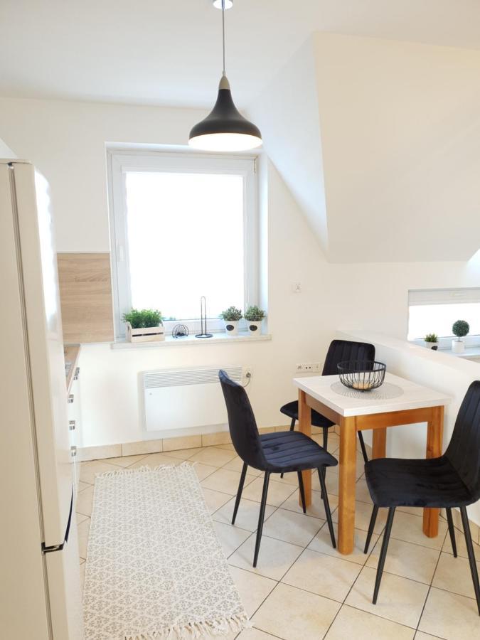 Apartament Bolek I Apartament Lolek 扎科帕内 外观 照片