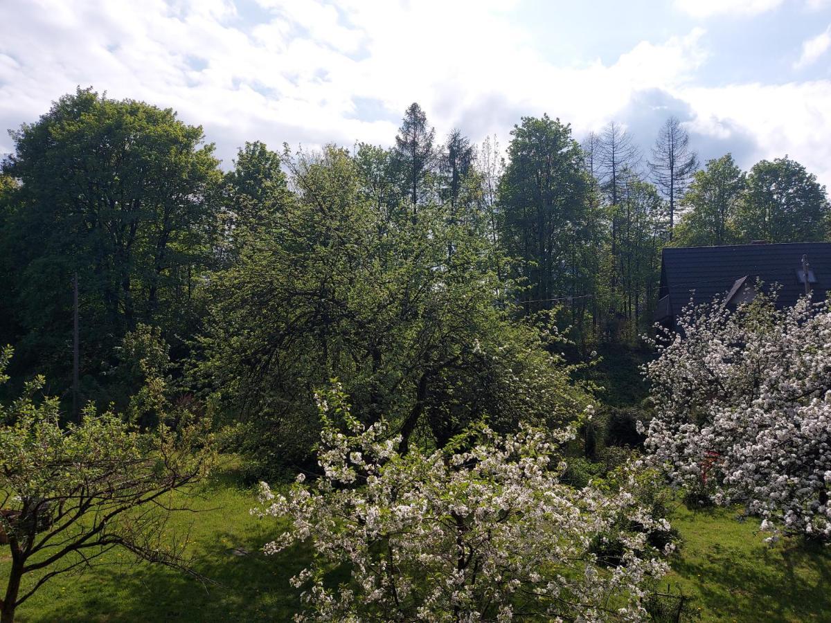 Apartament Bolek I Apartament Lolek 扎科帕内 外观 照片