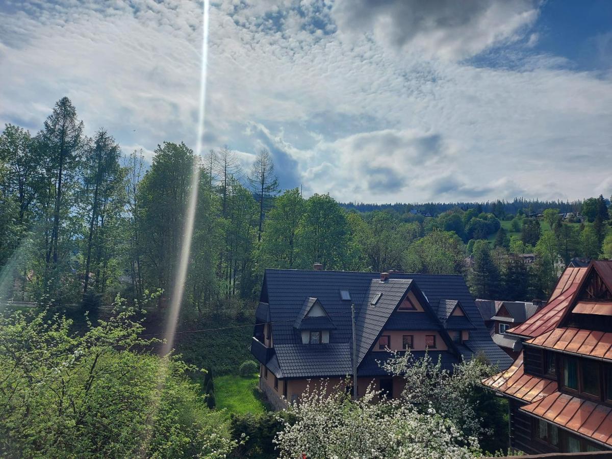 Apartament Bolek I Apartament Lolek 扎科帕内 外观 照片